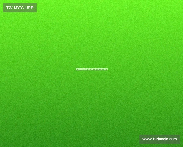 红牌引发的争议与足球公平竞技精神的深度剖析