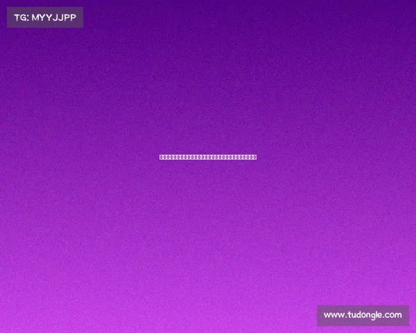 聚焦球队老板:如何通过战略布局与管理决策引领球队走向辉煌